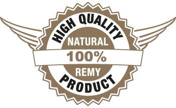 REMY Logo